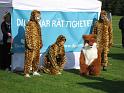 2008-09-14 11.13.58 (IMG_8580)